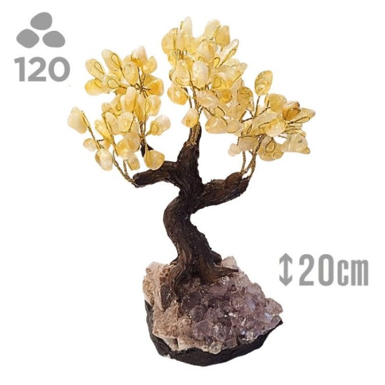 Árbol Grande Citrino