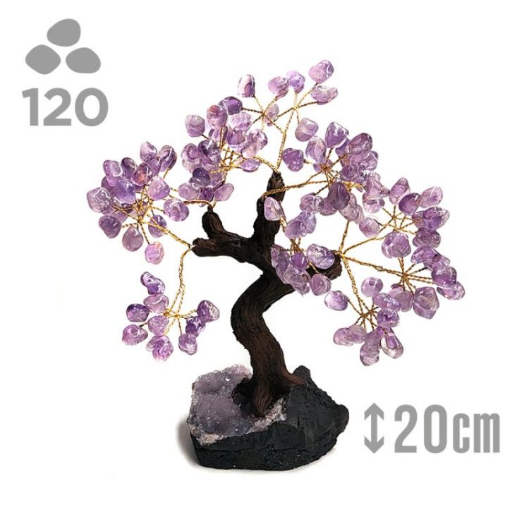 Árbol Grande Amatista