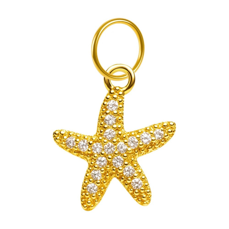 Charm Estrella Brillante