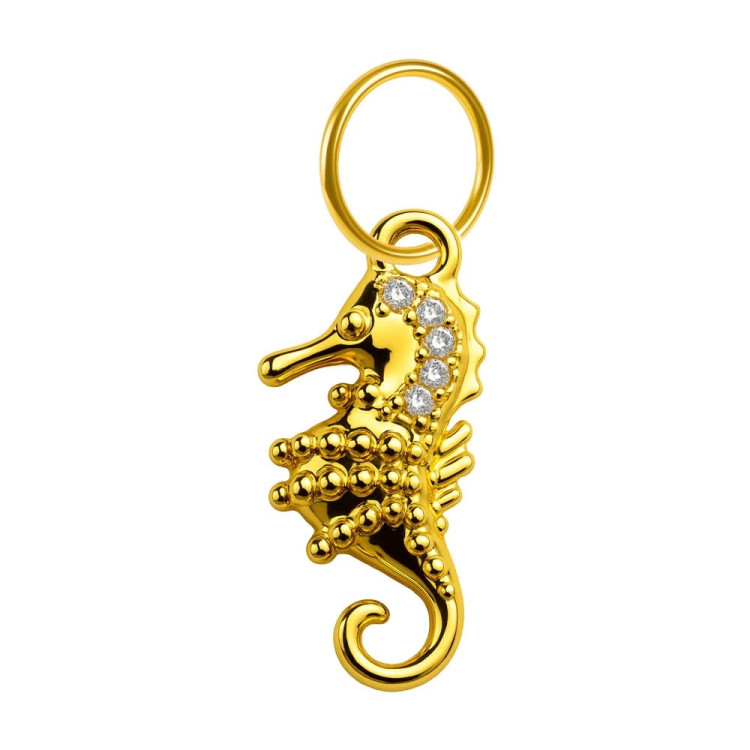 Charm Caballito Brillante