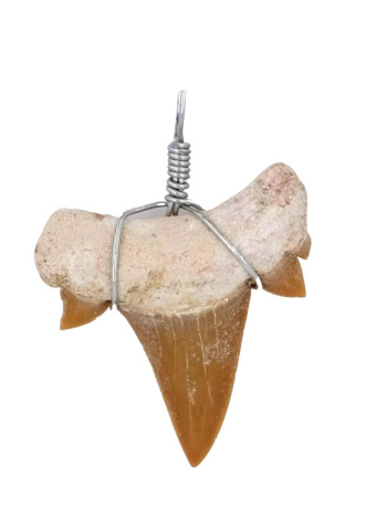 Collar Diente de Tiburón