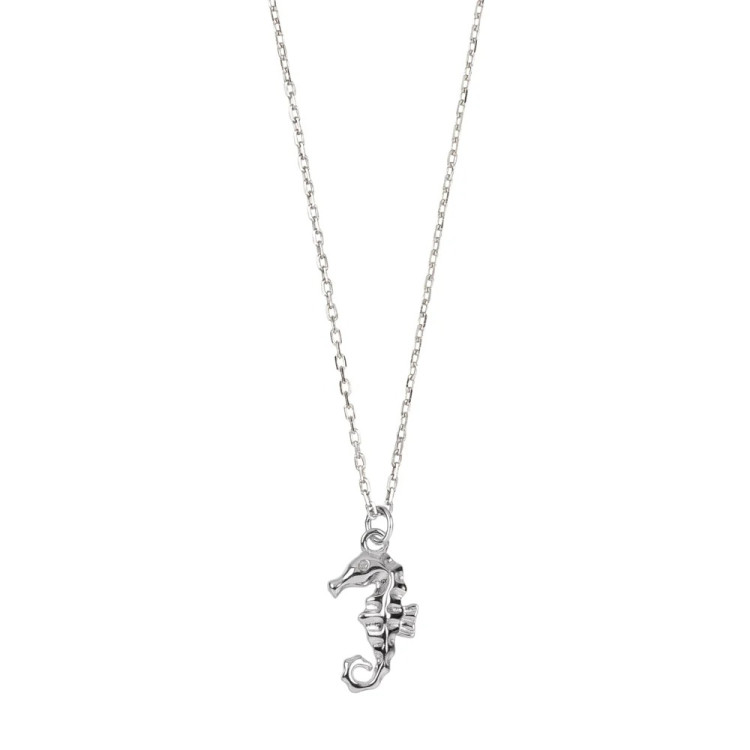 Collar Cavalis