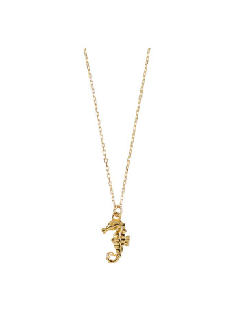 Collar Cavalis