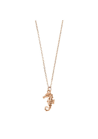 Collar Cavalis